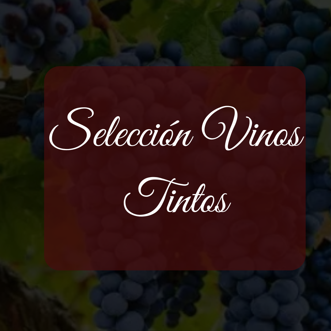 Selección de Vinos Tintos